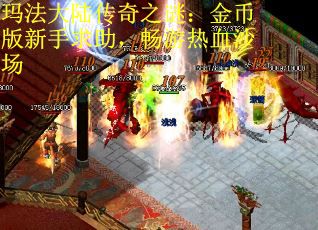 玛法大陆传奇之谜：金币版新手求助，畅游热血沙场