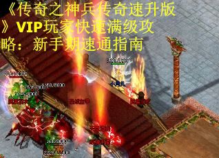 《传奇之神兵传奇速升版》VIP玩家快速满级攻略：新手期速通指南